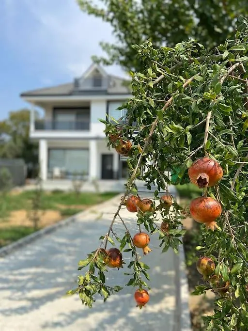 Villa Ece Kemalpasa  Turchia